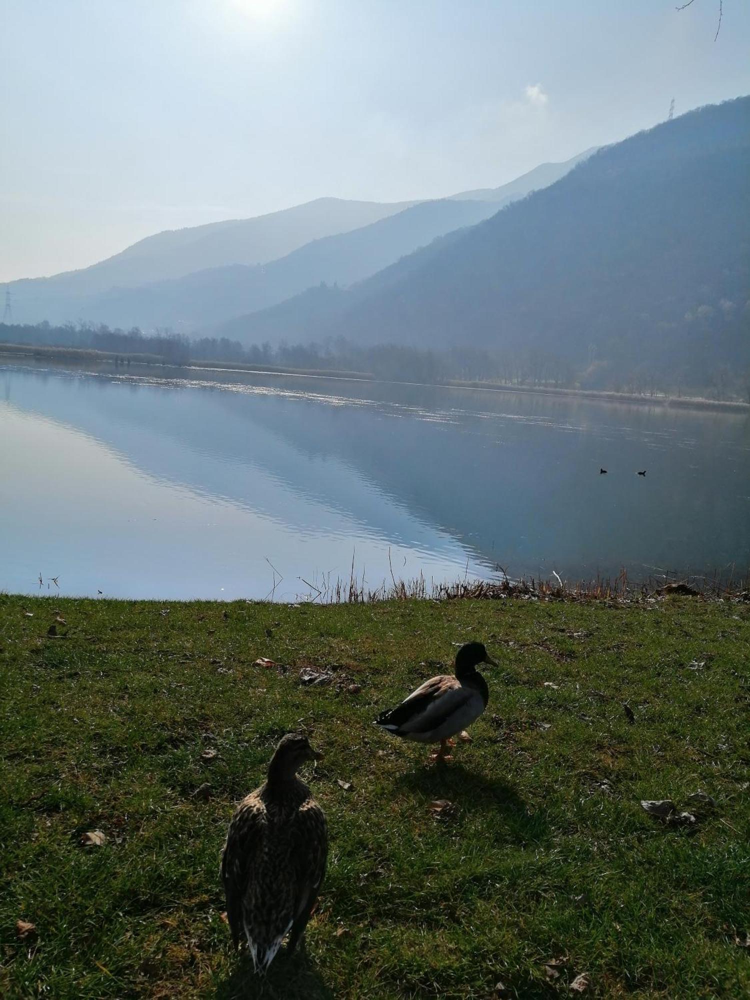 Belvedere Endine Lake Ranzanico Esterno foto